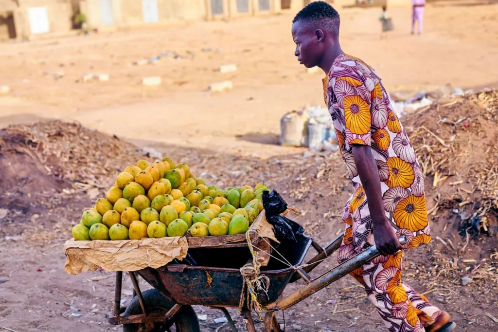 Jeune vendeur poussant une brouette de fruits