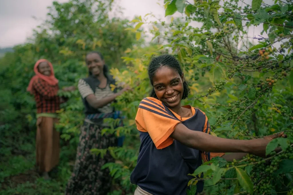 Agricultrices au travail dans une parcelle